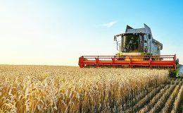 Türkiye Kalkınma ve Yatırım Bankası’ndan Türkiye Sosyal Etki Ekosisteminde bir ilk daha: Buğday Fiyatına Endeksli Sukuk İhracı